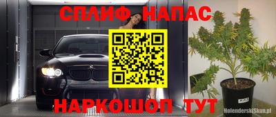 тгк Новодвинск