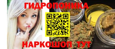 спиды Обь