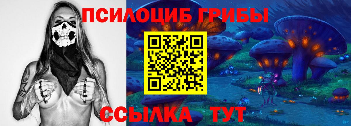 Галлюциногенные грибы Psilocybe  Вход с VPN  Самара  Галлюциногенные грибы ЛСД 